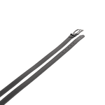 Correa-CILZNG-NEGRO_2